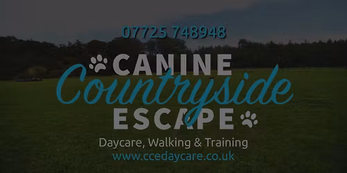 Christmas Themed Tricks Workshop