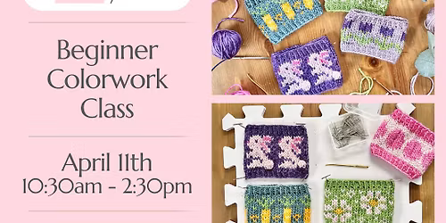 Beginner Colorwork Class
