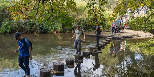 Hiking: Box Hill & North Downs \u2013 Sat 29 Nov 2026