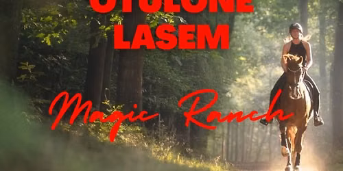 \ud83d\udc0e RIDE HERE \u2013 3-DNIOWY RAJD KONNY Z RELAKSEM W LESIE \ud83c\udf3f\n\n