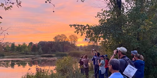 Monday Evening Migration at Matthaei
