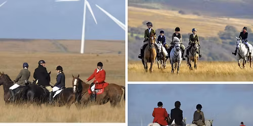 Masons Arms Rhyd-Y-Pandy - Breakfast Meet - SA6 6PB