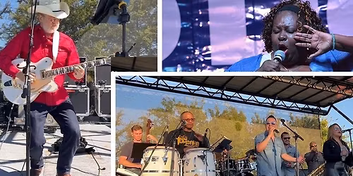 MusicFEST 2026 - Free Live Music at Willow Waterhole