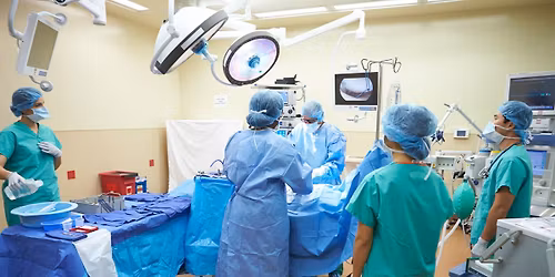 Georgia State Assembly - Annual Meeting\/Elections