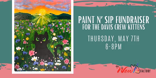 The Davis Crew Kittens May Paint n\u2019 Sip Fundraiser