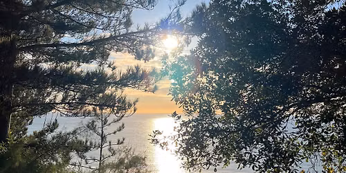 Wellness Day Retreat