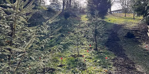 Fall Planting at Renfrew Community Park