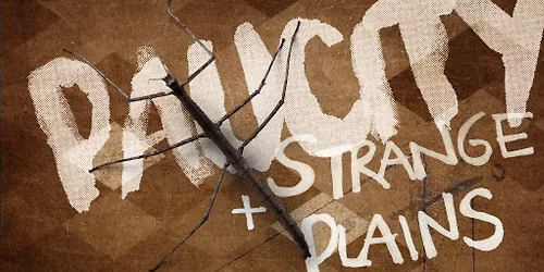 East Hills Summer Concert Series Ft. Paucity & Strange Plains