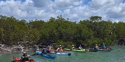 Tom Long's Friday, Nov 7th Sunset\/Bioluminesence Paddle with Near-Full Moon at End