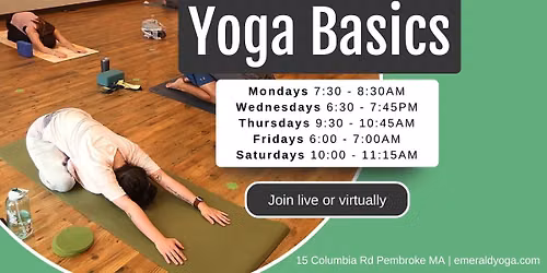 \ud83e\uddd8Yoga Basics - Live + Virtual