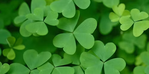 St. Paddy\u2019s Day @ Joe\u2019s featuring THE SWERVE