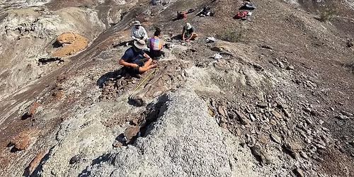 Dino Dig Live!