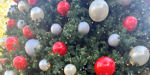 Pawsome Holiday Party!