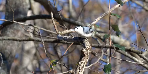Berrien County in Spring - Weekend Trip!