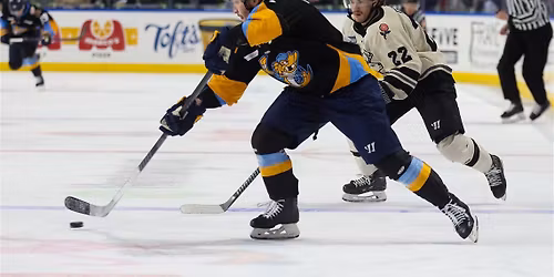 Cincinnati Cyclones vs. Toledo Walleye