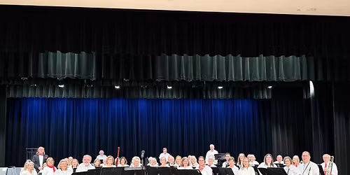 Webster Village Band Holiday Concert
