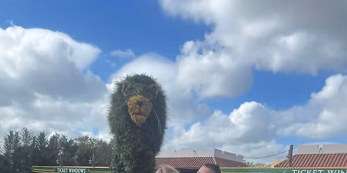 4th coed tournament for Danny Patterson