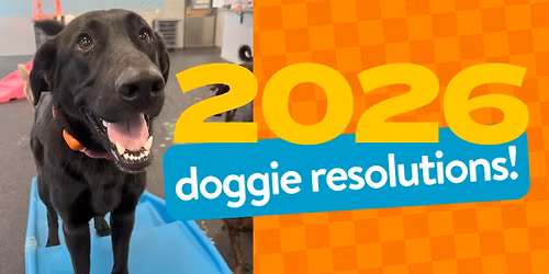 New Years Resolutions