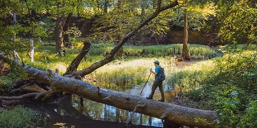 Early Morning Nature and Wildlife Photography Walk