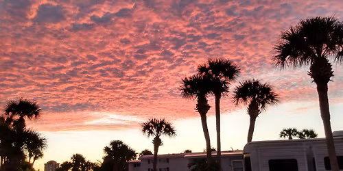 Patricia Hulse Living Memorial 