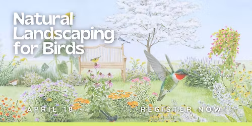 Natural Landscaping For Birds