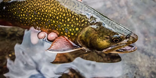 Striped Bass Two Hand Casting