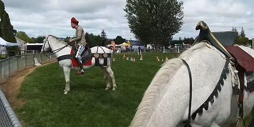 Rare Horse Society Display @ EquiSouth.