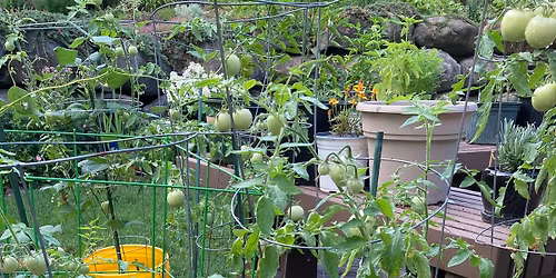 Five Friendly Growers Plant Sale