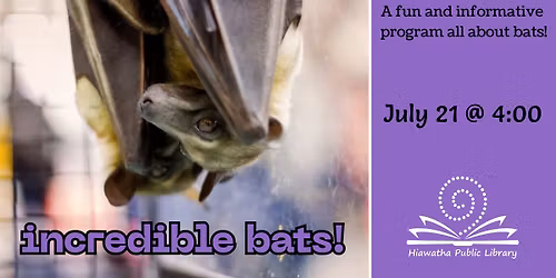 Incredible Bats!