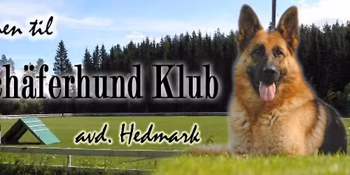 LP stevne p\u00e5 Brandsrudsletta