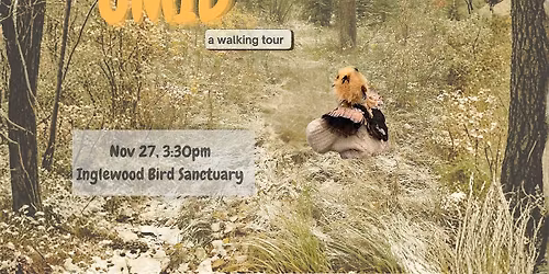 OMID - a walking tour