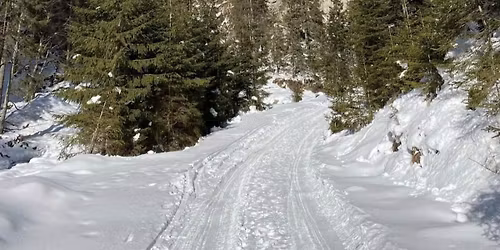 \ud83c\udfd4\ufe0f Drume\u021bie 100 lei\u2744\ufe0f de iarn\u0103 \u201eVoina \u2013 Cuca\u201d \n