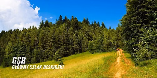 G\u0142\u00f3wny Szlak Beskidzki w rok (etap 9\/12) - trekking g\u00f3rski