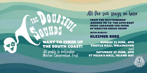 The Doubtful Sounds cheering up the South Coast -Island Bay gig