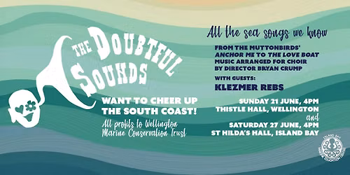 The Doubtful Sounds cheering up the South Coast -Island Bay gig
