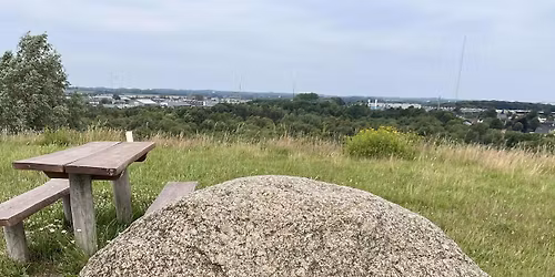 Skraldebjergsl\u00f8bet nr. 9 i Herning