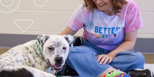 Rochester Petco Adoption Event