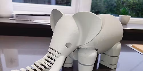 Alfie\u2019s 3d printing at Wesham Christmas craft fair 