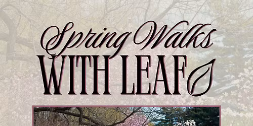 Spring Walks with LEAF