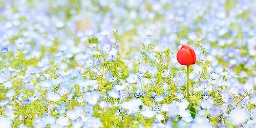 \u3075\u308c\u3042\u3044\u30d5\u30a7\u30b9\u30bf