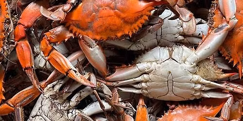 South Norfolk Ruritans 19th Annual Blue Crab Festival