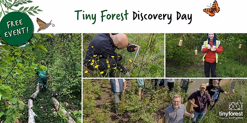 Tiny Forest Discovery Day: Norland North Open Space