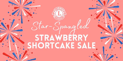 Star Spangled Strawberry Shortcake Sale