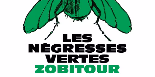 Concert Les N\u00e9gresses Vertes \ud83c\udfb6\ud83c\udfb8