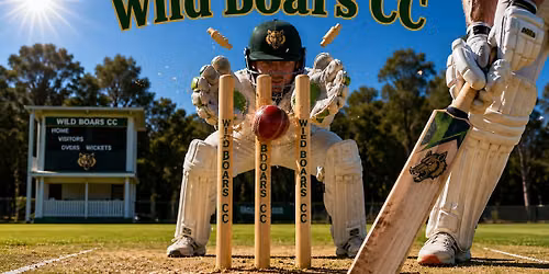 Wild Boars CC v Western Old Boys (REARRANGED)