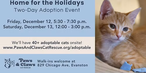 Home for the Holidays, Day 2