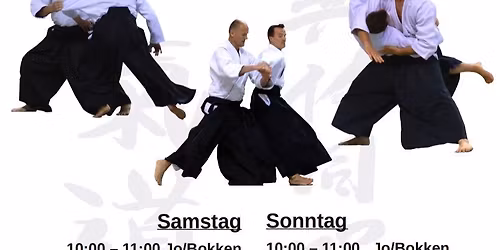 WIM VAN GILS - Seminar Leipzig 2024 (Aikido, Jo, Bokken)