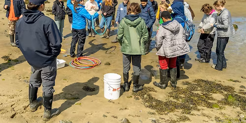 Fauna Frenzy - Homeschool Event