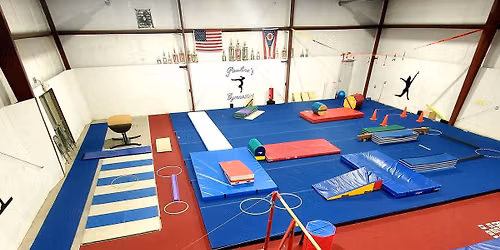 Survivor Island Mini Camp