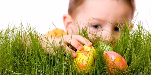 2026 Easter Egg-Stravaganza at Niederman Family Farm